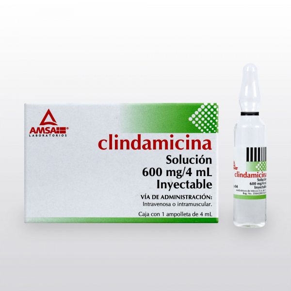 CLINDAMICINA INYECTABLE 600MG 